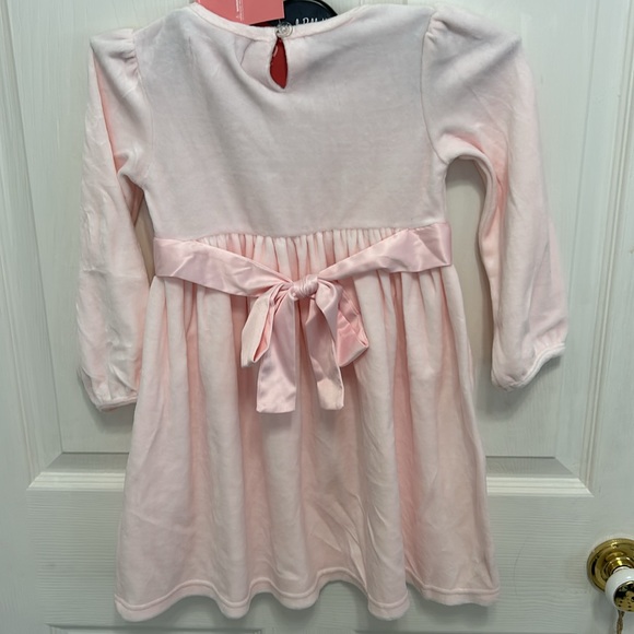 NWT Gymboree Pink Velour The Ballet line Prima Ballerina Dress size 4 - Picture 5 of 6